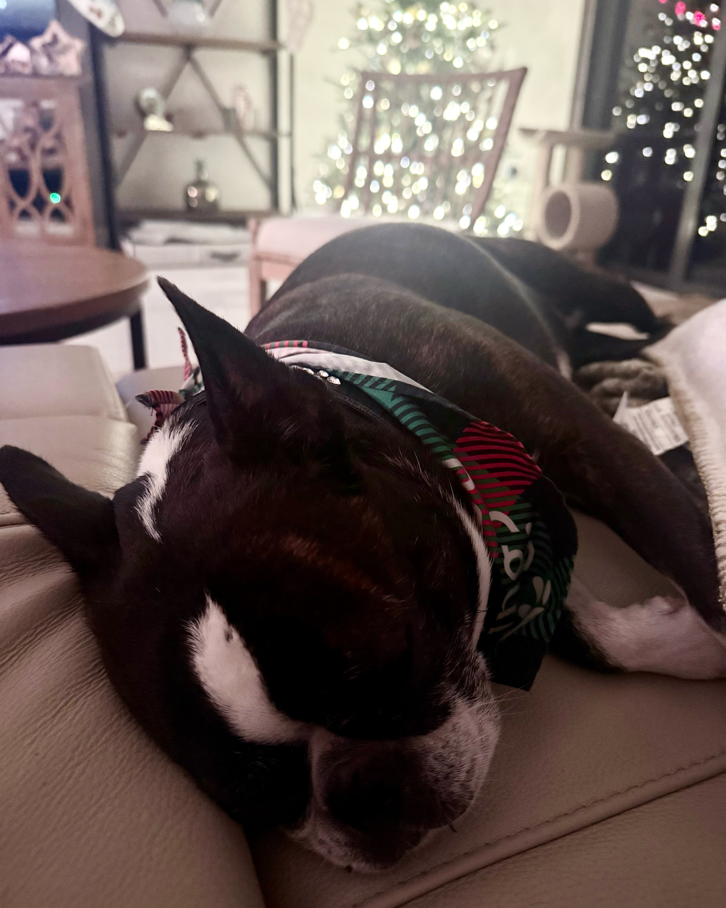 Direct relief program